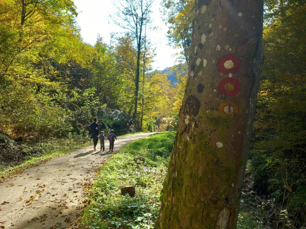 pot po evropski pe&scaron;poti E7 / Foto: Turistično Dru&scaron;tvo Podčetrtek 