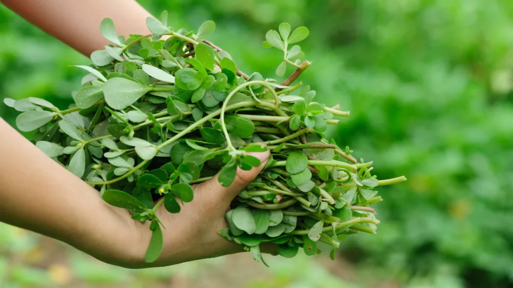 Slika je simbolična. / Foto: Istock