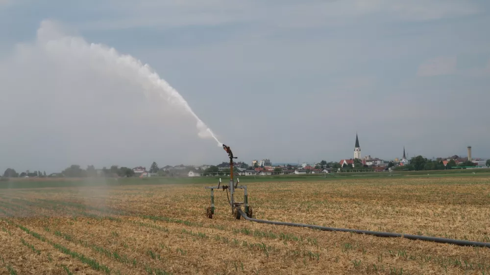 Rakičan, Panvita, kmetijsko zemlji&scaron;če, polje, namakalni sistem, namakanje. Foto: Tatjana Pihlar 