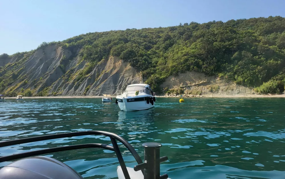 Najlep&scaron;i zalivi so najbolj ranljivi: Morsko dno lahko plačuje ceno poletnega sidranja več desetletij