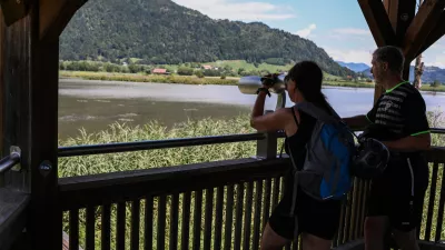  - Bleist&auml;tter Moor, močvirje ob Osojskem jezeru namenjeno preči&scaron;čevanju vode v jezeru,- opazovanje ptic,- 01.08.2025. - Reportaža o turizmu na Avstrijskem Koro&scaron;kem.//FOTO: Bojan Velikonja
