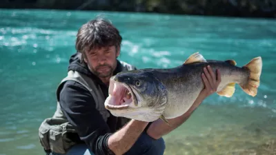 Trofejna so&scaron;ka postrv, 103 cm, 12,5 kg, ujeta 8. aprila 2018 pri Solkanu, ribič Robert Prando / Foto: Jernej Kravos