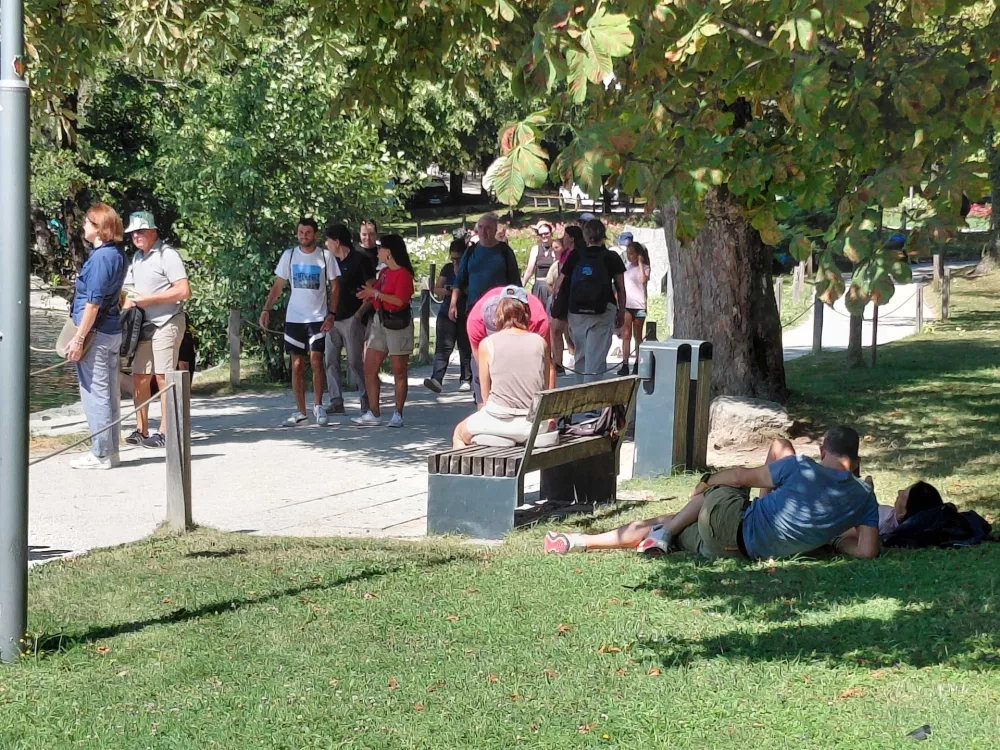Bled poka po &scaron;ivih, domačini pa: &raquo;S konjsko vprego bi bili hitreje iz Lesc kot z avtom&laquo;