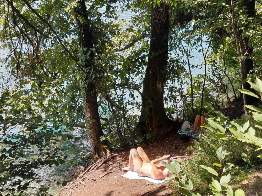 Bled poka po &scaron;ivih, domačini pa: &raquo;S konjsko vprego bi bili hitreje iz Lesc kot z avtom&laquo;