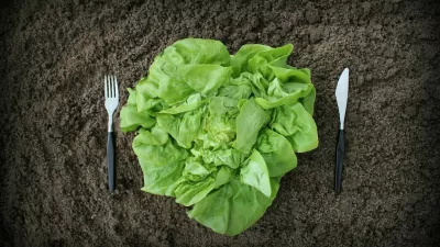 fork and knife in soil and lettuce -healthy eating concept / Foto: Vaivirga
