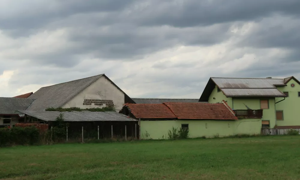 Ilja&scaron;evci, Križevci pri Ljutomeru, kmetija, rejec Marjan &Scaron;pur. Foto: Tatjana Pihlar 