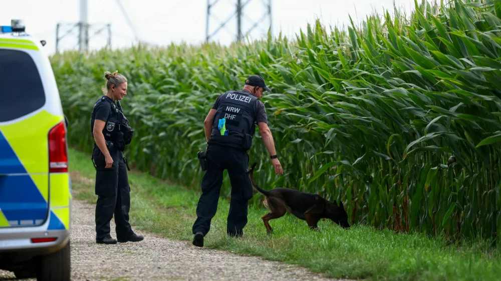 German police officers use a dog to search near a road after a second sabotage attempt on Germany's electricity grid, with local police saying they are investigating an attack on a substation in Bergheim, Germany, September 2, 2026. REUTERS/Thilo Schmuelgen