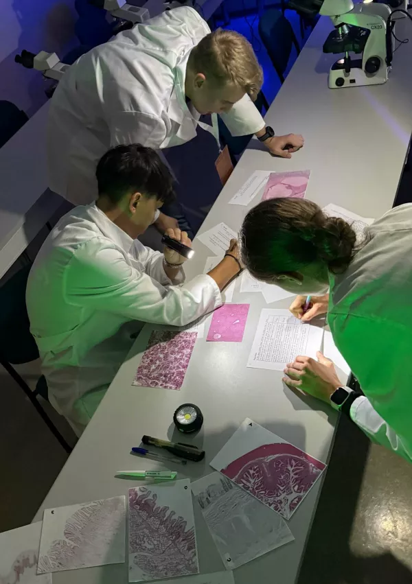 Na 8. mednarodni olimpijadi iz znanja anatomije &ndash; International Anatomy Olympiad (IAO) 2026 &ndash; so se &scaron;tudenti pomerili v zahtevnih teoretičnih in praktičnih nalogah. V kar &scaron;esturnem praktičnem delu so med drugim prepoznavali anatomske strukture na anatomskih preparatih, mikroskopirali, risali anatomske skice, vstavljali periferni venski kanal in izvajali laparoskopske postopke. / Foto: Luka Pu&scaron;nik, Ul Mf