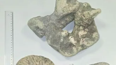 Na zagreb&scaron;kem letali&scaron;ču so Slovenci zasegli &scaron;tiri korale. 