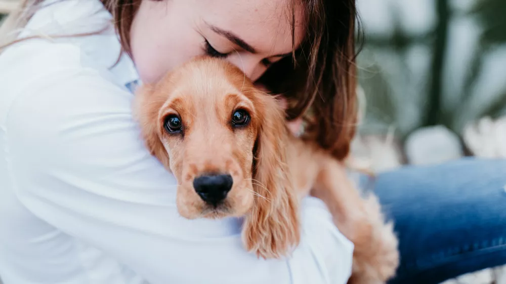young woman and her cute puppy of cocker spaniel outdoors / Foto: Eva Blanco Getty Images