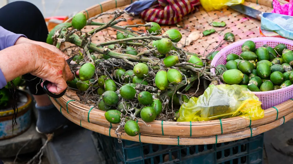 An elderly Vietnamese woman cuts fresh green Areca nuts on a traditional bamboo tray at a street market stall in Hoi An Vietnam