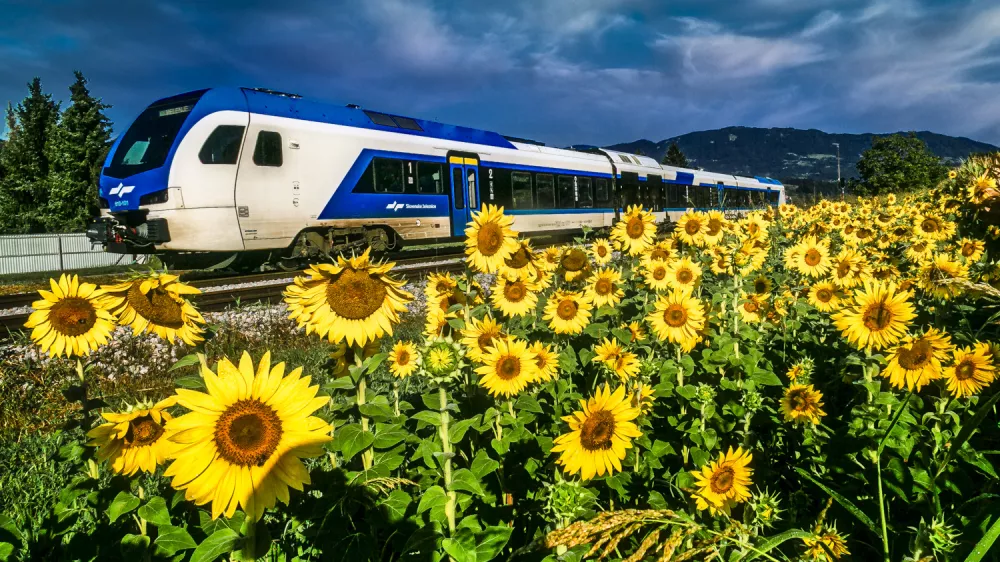 Foto: Mi&scaron;ko Kranjec/Slovenske železnice