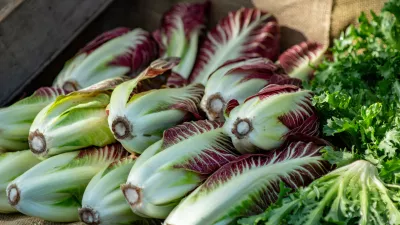 A display of vegetables for sale at the Ballard Farmer's Market / Foto: Avondell