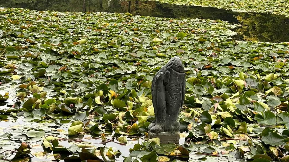 Krajinski park Tivoli, Rožnik in &Scaron;i&scaron;enski hrib