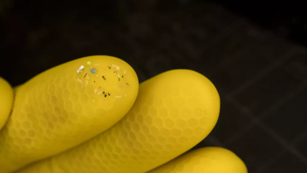 Microplastics on yellow gloved fingertips showing environmental pollution and synthetic waste. / Foto: Svetlozar Hristov Getty Images