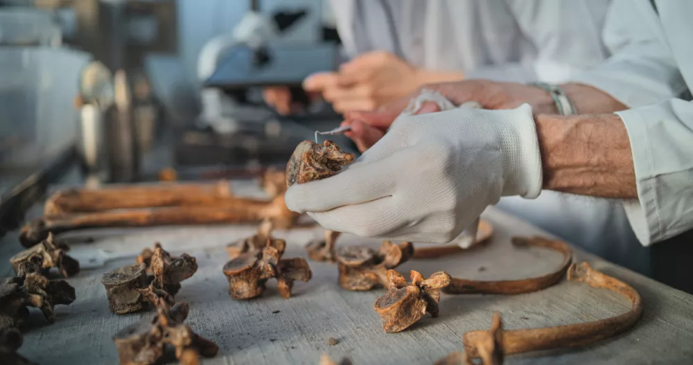 Fantomske sledi DNK izhajajo iz dejstva, da doslej &scaron;e nismo na&scaron;li kosti ali ostankov, ki bi pojasnili, od kod izhajajo. / Foto: Istock