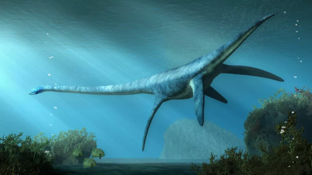 An elasmosaurus swims away from you in shallow seas. This long necked plesiosaur was an aquatic reptile that lived in the ocean during the Cretaceous period. 3D Rendering / Foto: Daniel Eskridge