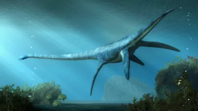 An elasmosaurus swims away from you in shallow seas. This long necked plesiosaur was an aquatic reptile that lived in the ocean during the Cretaceous period. 3D Rendering / Foto: Daniel Eskridge