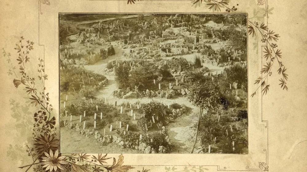 Botanični vrt leta 1870 torej tri leta po Fleischannovi smrti najstarej&scaron;i posnetek vrta hrani Arhiv Bot. vrta.