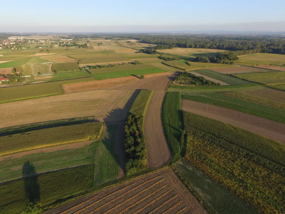 Življenjski prostor velikega hrčka, / Foto: Tilen Basle