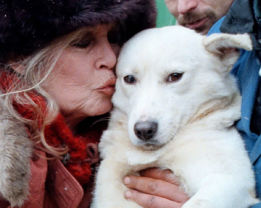 FILE PHOTO: Former French pin-up actress Brigitte Bardot kisses a stray bitch during a visit to the Bucharest dog pound February 5. Bardot is to attend an international congress on the castration of stray dogs in Bucharest. ROMANIA BARDOT/File Photo