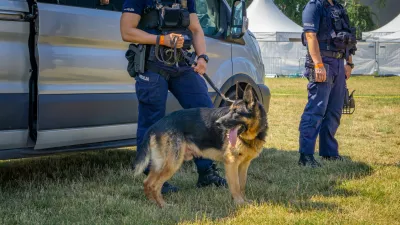 Kalisz, Voivodeship: Greater Poland, Poland - June 29, 2024 German shepherd dog standing with policemen at police dog shows near a police car. dog in police service