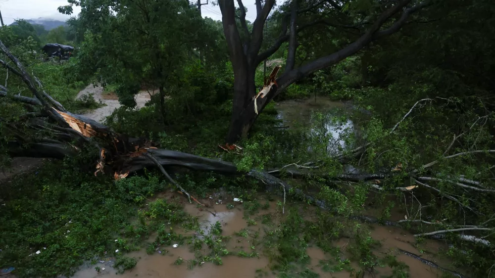A toppled tree as Hurricane Simon approaches Mexico's Pacific coast in Costalegre, Jalisco state, Mexico, October 11, 2026. REUTERS/Daniel Becerril