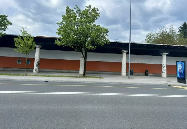 Bežigrajski stadion