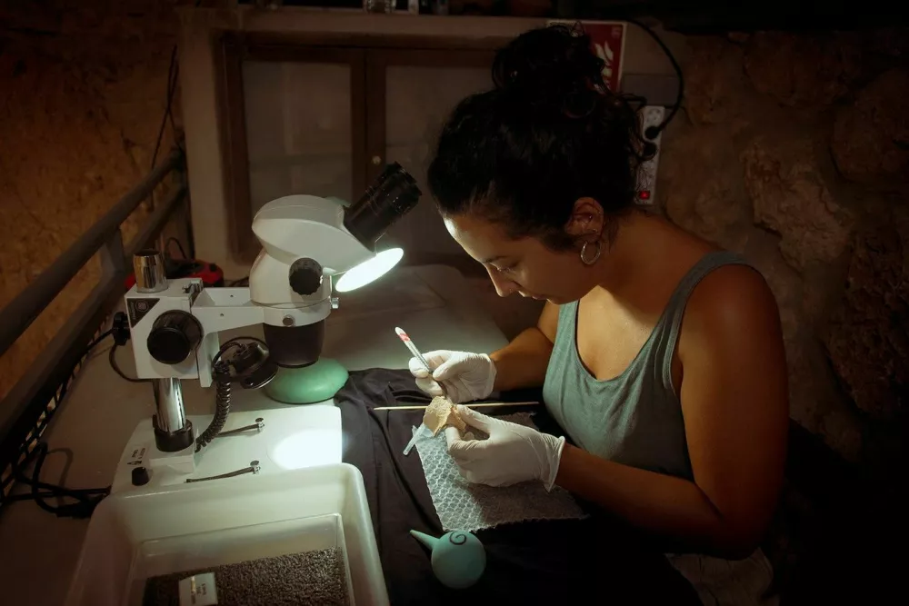This undated handout image released on August 25, 2022 by the Catalan Institute of Human Paleoecology and Social Evolution (IPHES-CERCA) shows IPHES-CERCA restauration technician Irene Cazalla restoring the partial remains of a 60,000 years old Neandertal skull recovered at the Abric Romani site in Capellades. Dating from the Middle Paleolithic, the Abric Romani archaeological site forms part of the NEAN-Capellades Prehistoric Park, which includes some 20 archaeological sites in total. After over 40 years of continuous research at the Abric Romani site never had Neanderthal human remains been found.,Image: 716605093, License: Rights-managed, Restrictions: RESTRICTED TO EDITORIAL USE - MANDATORY CREDIT "AFP PHOTO /MARIA D. GUILLEN / IPHES-CERCA " - NO MARKETING NO ADVERTISING CAMPAIGNS - DISTRIBUTED AS A SERVICE TO CLIENTS, ***HANDOUT image or SOCIAL MEDIA IMAGE or FILMSTILL for EDITORIAL USE ONLY! * Please note: Fees charged by Profimedia are for the Profimedia's services only, and do not, nor are they intended to, convey to the user any ownership of Copyright or License in the material. Profimedia does not claim any ownership including but not limited to Copyright or License in the attached material. By publishing this material you (the user) expressly agree to indemnify and to hold Profimedia and its directors, shareholders and employees harmless from any loss, claims, damages, demands, expenses (including legal fees), or any causes of action or allegation against Profimedia arising out of or connected in any way with publication of the material. Profimedia does not claim any copyright or license in the attached materials. Any downloading fees charged by Profimedia are for Profimedia's services only. * Handling Fee Only ***, Model Release: no / Foto: Profimedia