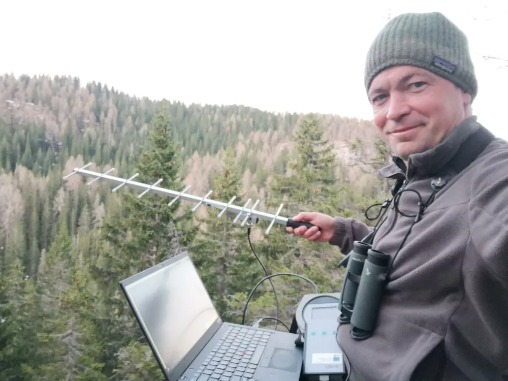 Jastrebi bi lahko stokrat obkrožili Zemljo &ndash; in pri tem porabili presenetljivo malo energije