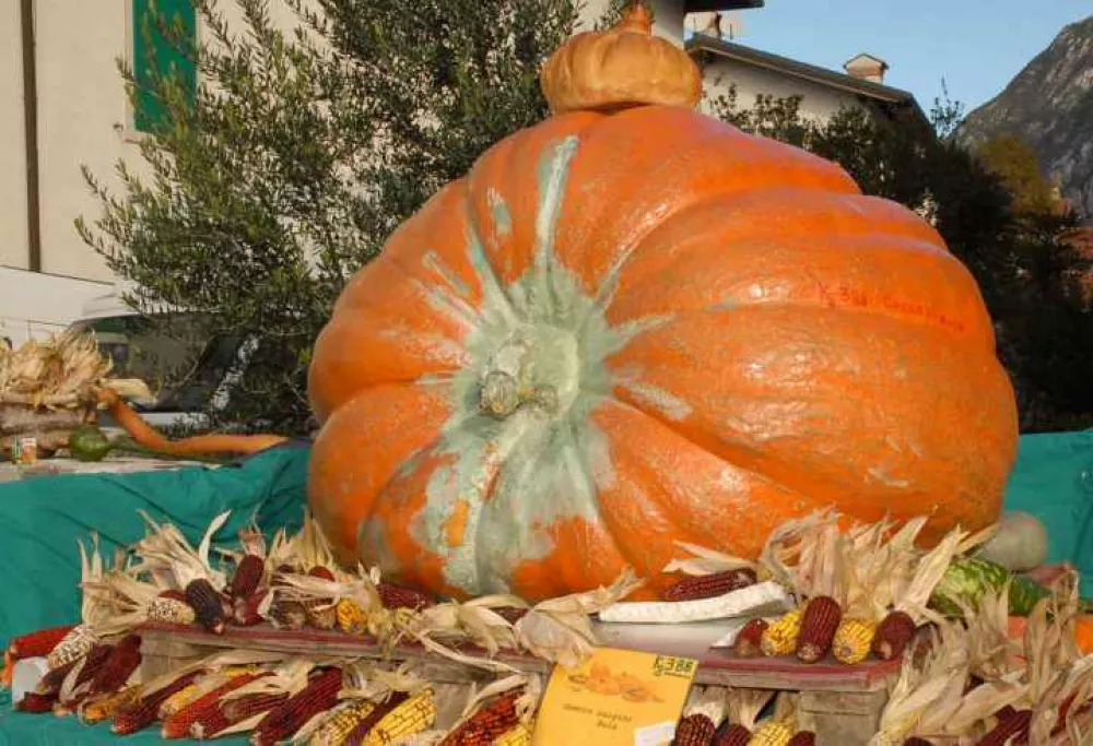 festa Zucca Friuli