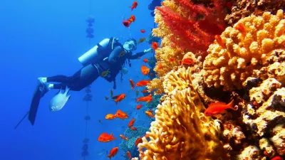 Man scuba diver near beautiful coral wall with tropical fish / Foto: Tunatura