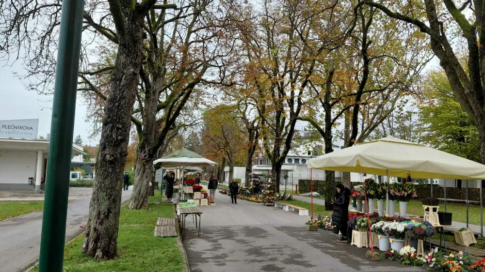 Foto: Vesna Levičnik